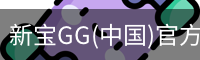 新宝GG